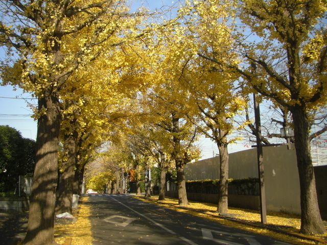 CIMG3816.JPG