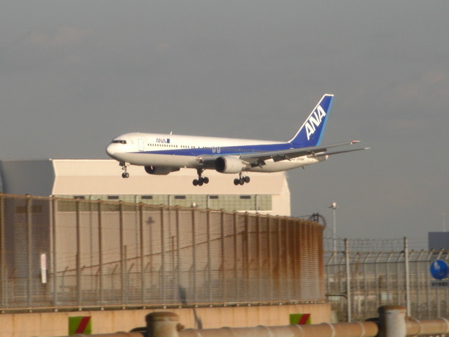 CIMG3848.JPG