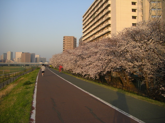 CIMG3977.JPG