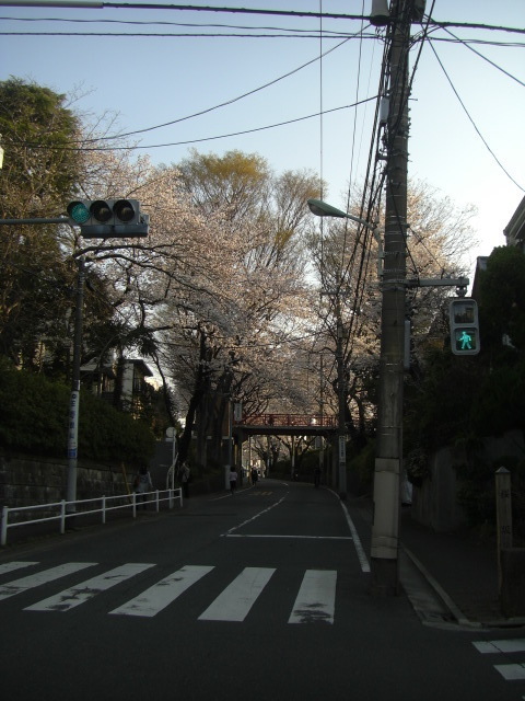CIMG3979.JPG