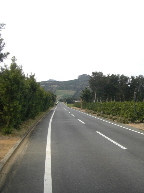 CIMG4008.JPG