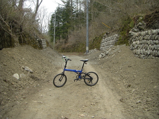 CIMG4117.JPG