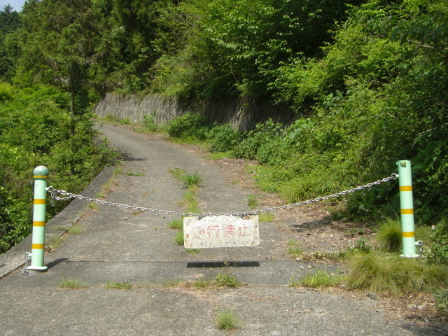 CIMG4155.JPG