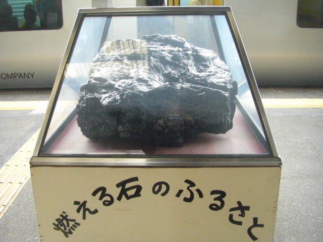 CIMG4528.JPG