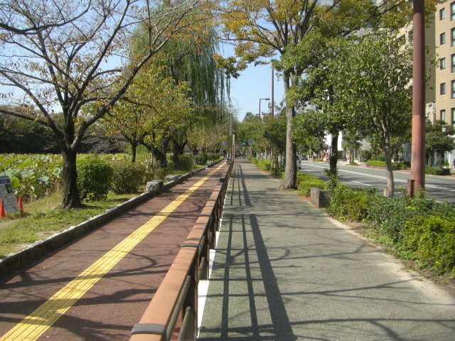 CIMG4681.JPG