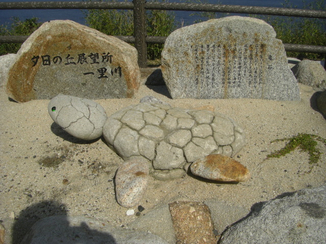 CIMG4863.JPG