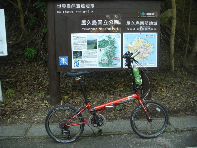 CIMG4870.JPG