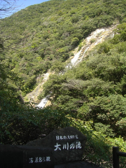 CIMG4877.JPG