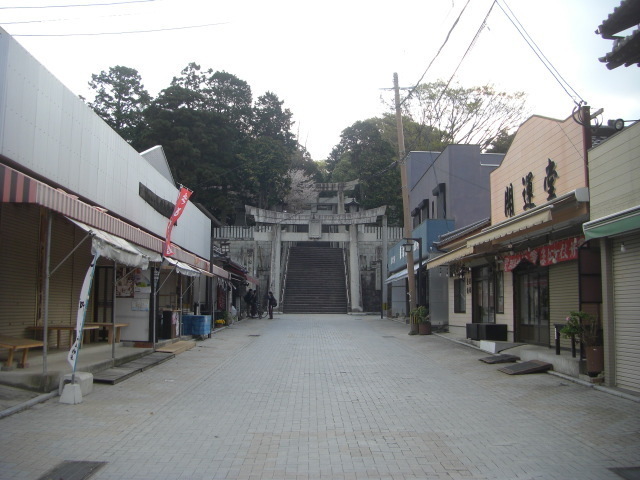 CIMG4937.JPG