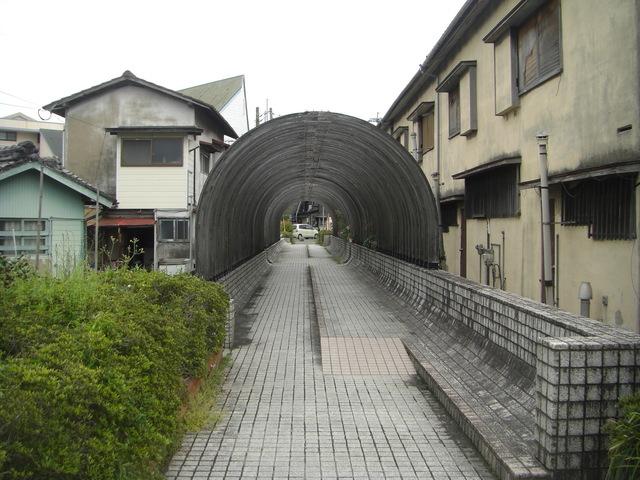 CIMG4953.JPG