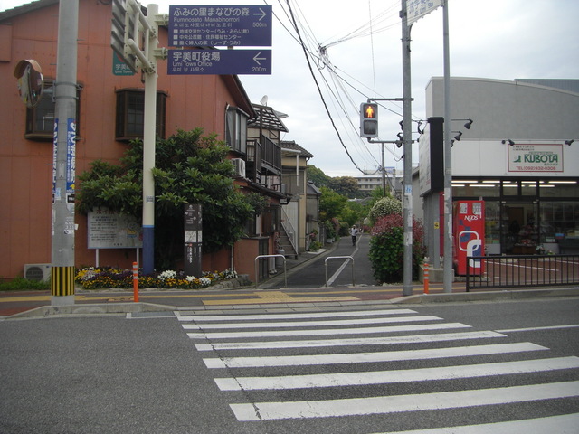 CIMG4968.JPG