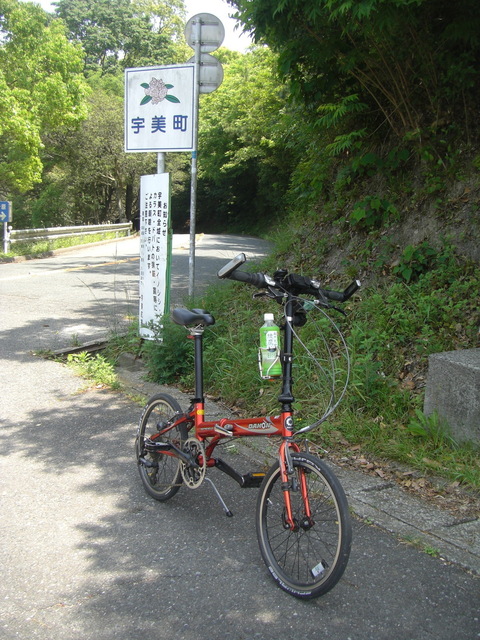 CIMG5001.JPG