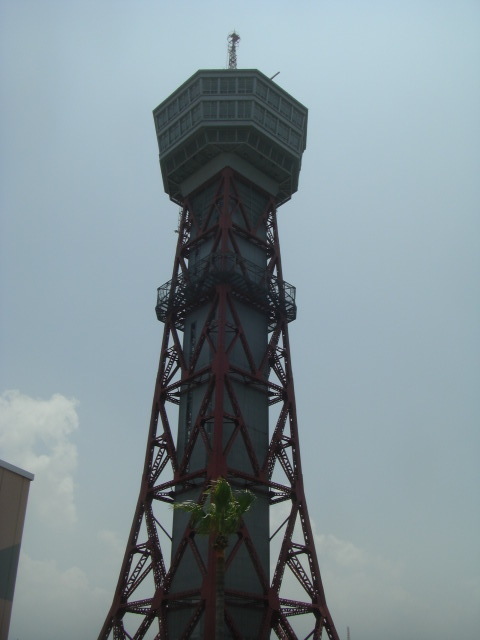 CIMG5016.JPG