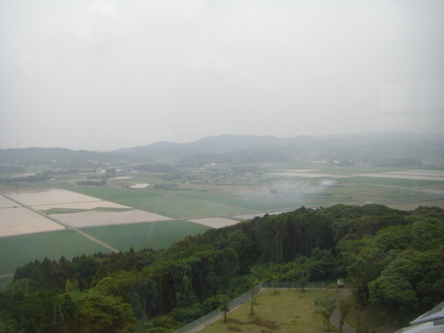 CIMG5041.JPG