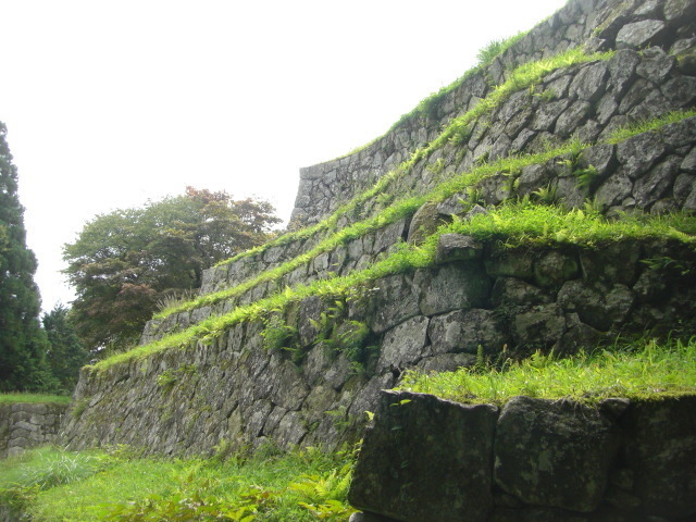 CIMG5110.JPG