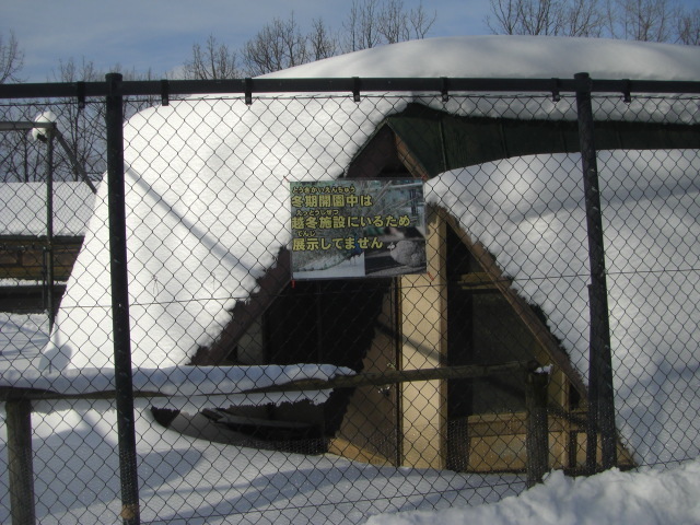 CIMG5248.JPG
