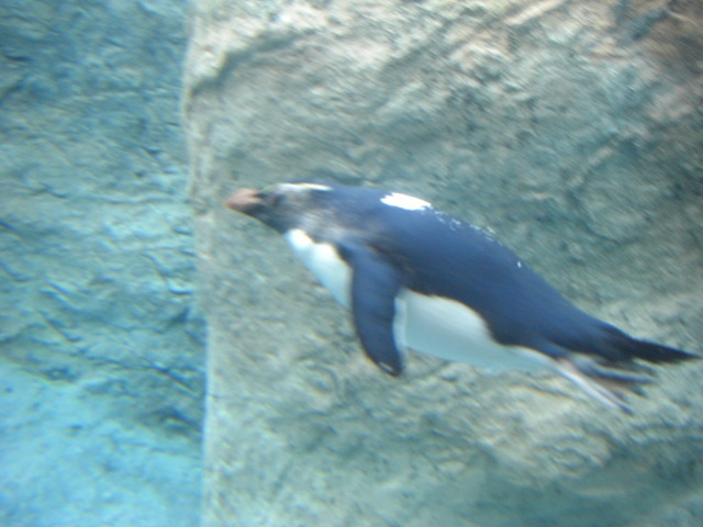 CIMG5257.JPG
