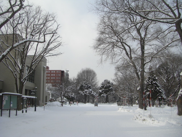 CIMG5290.JPG