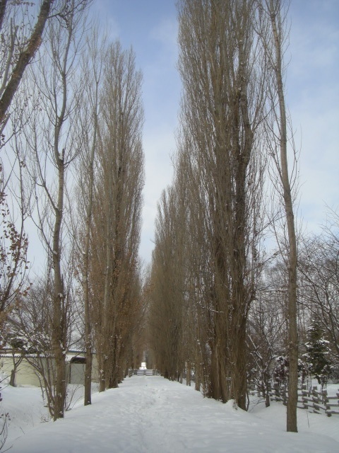 CIMG5297.JPG