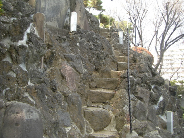 CIMG5336.JPG