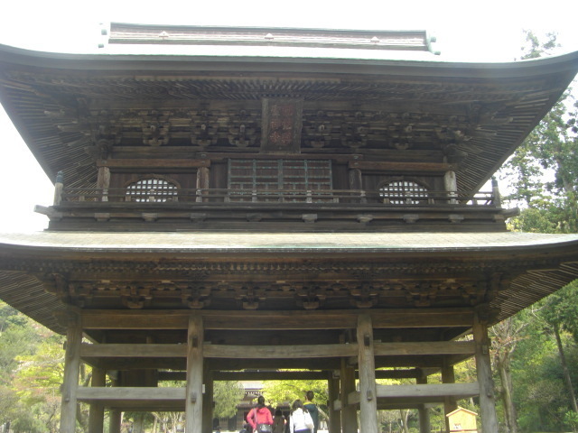 CIMG5384.JPG