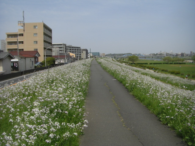 CIMG5401.JPG