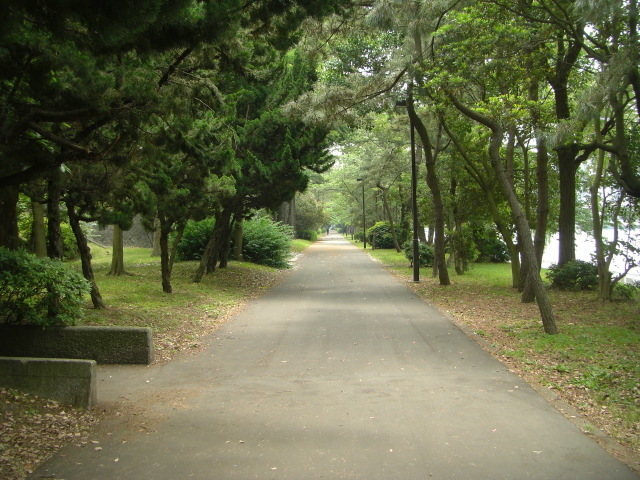 CIMG5458.JPG