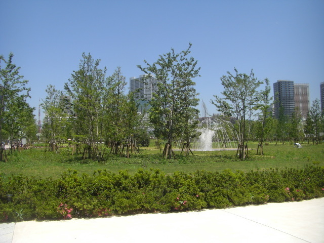 CIMG5479.JPG