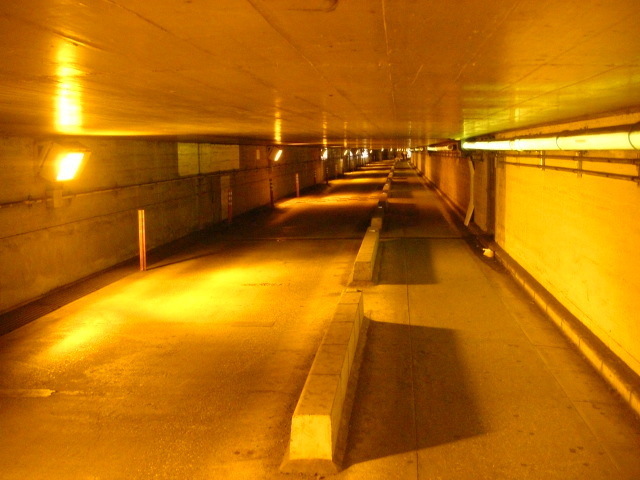 CIMG5480.JPG