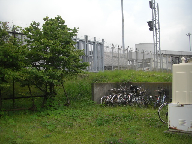 CIMG5492.JPG