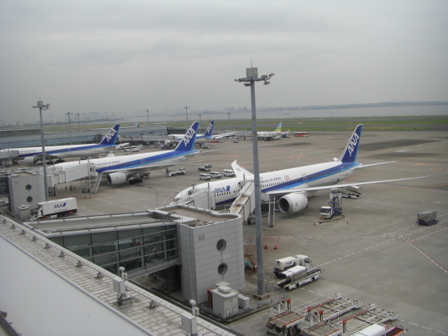 CIMG5494.JPG