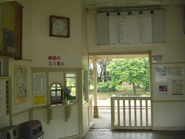 CIMG5509.JPG