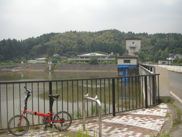 CIMG5516.JPG