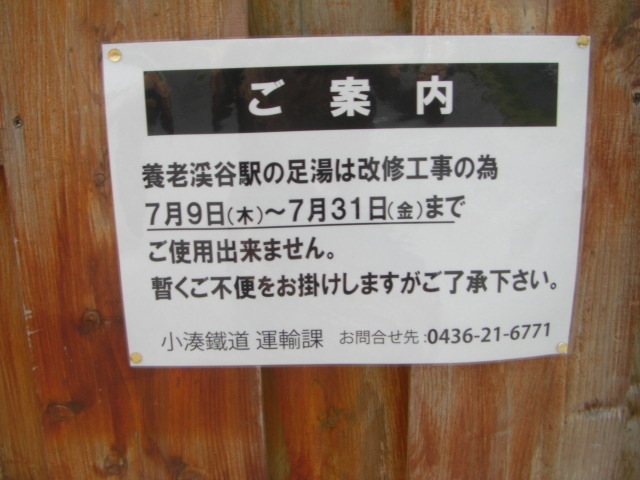 CIMG5517.JPG