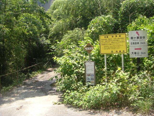 CIMG5521.JPG