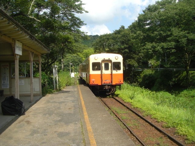 CIMG5534.JPG
