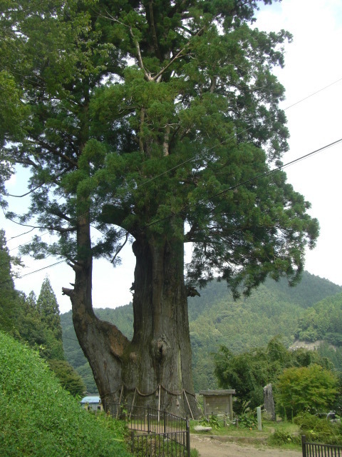 CIMG5554.JPG