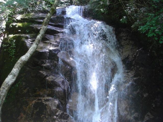 CIMG5579.JPG