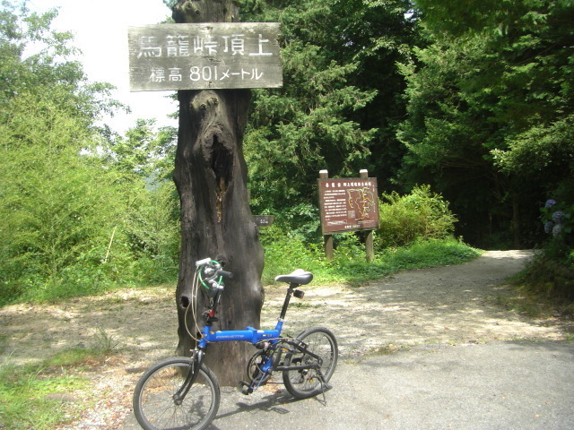 CIMG5585.JPG