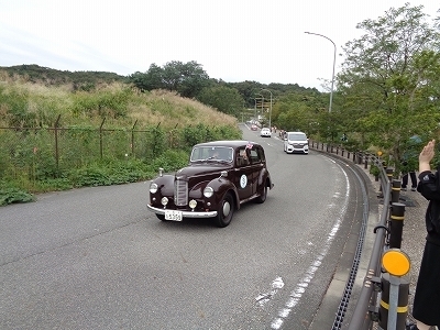 DSC00393.jpg