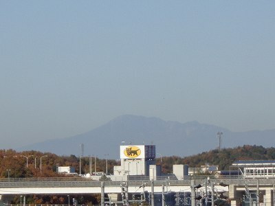 DSC00609.jpg