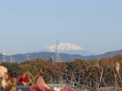 DSC00617.jpg