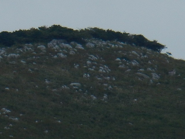 DSCN5128.jpg