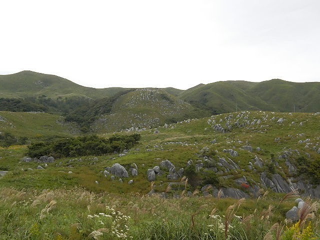 DSCN5129.jpg