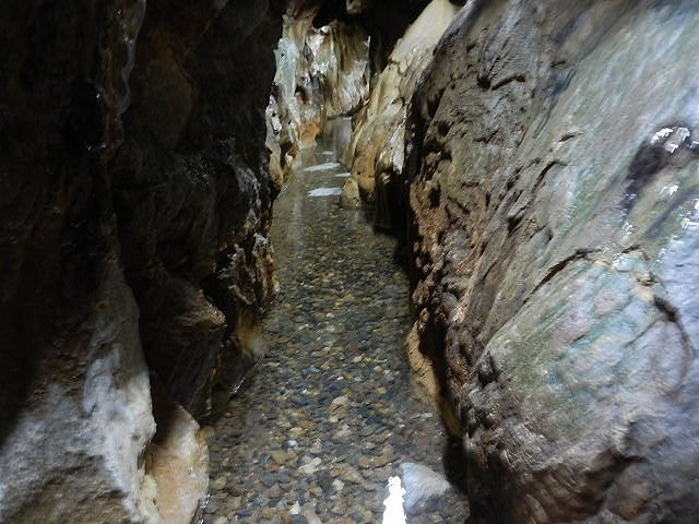 DSCN5131.jpg