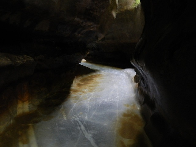 DSCN5134.jpg