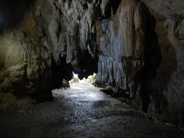 DSCN5141.jpg