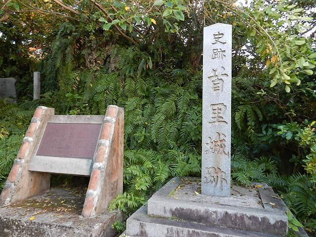DSCN5151.jpg