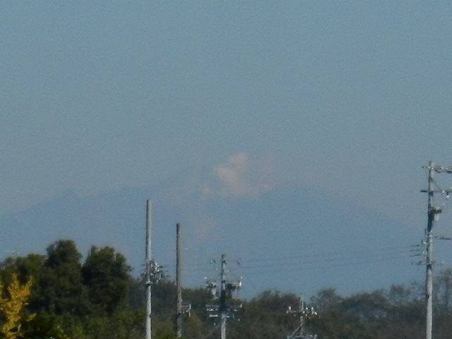 DSCN5185.jpg