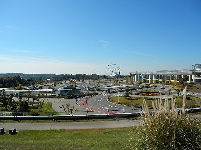 DSCN5193.jpg